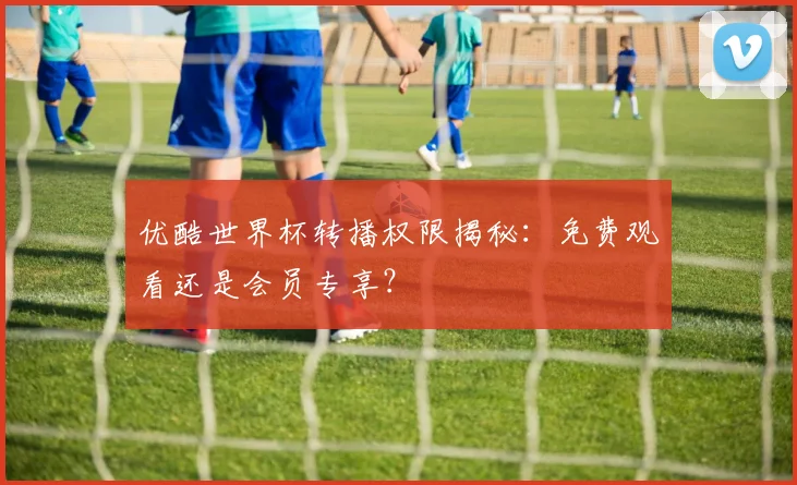 优酷世界杯转播权限揭秘：免费观看还是会员专享？